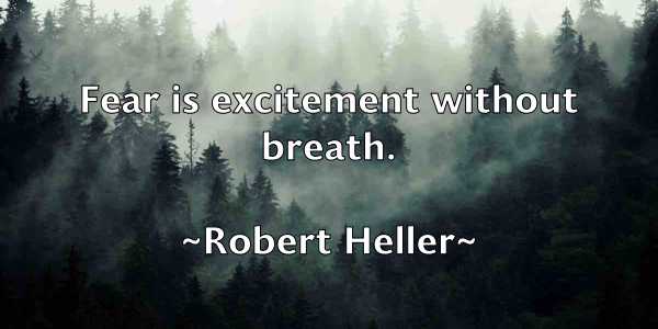 /images/quoteimage/robert-heller-703735.jpg