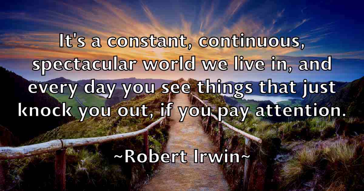 /images/quoteimage/robert-irwin-fb-704024.jpg