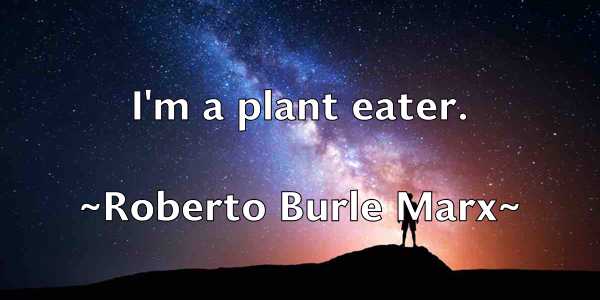 /images/quoteimage/roberto-burle-marx-709009.jpg