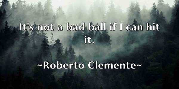 /images/quoteimage/roberto-clemente-709080.jpg