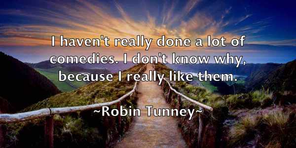 /images/quoteimage/robin-tunney-710072.jpg