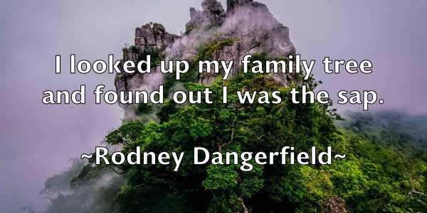 /images/quoteimage/rodney-dangerfield-711615.jpg