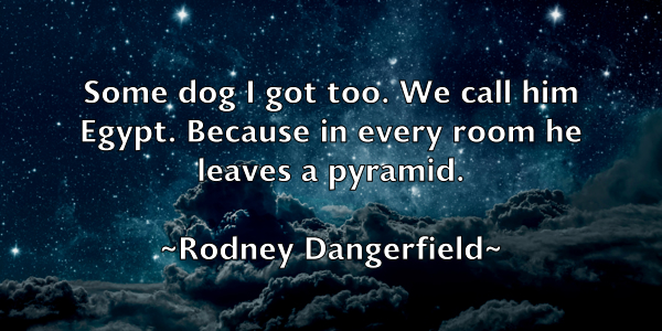 /images/quoteimage/rodney-dangerfield-711629.jpg