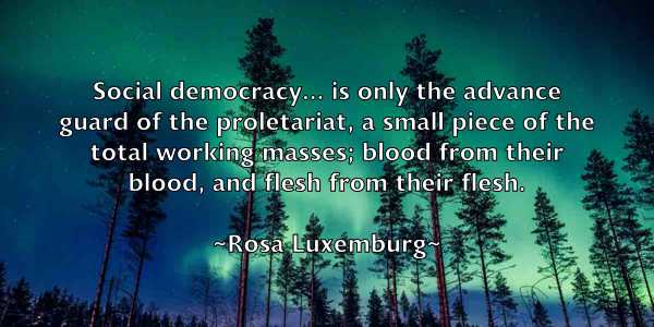 /images/quoteimage/rosa-luxemburg-718332.jpg