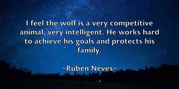 /images/quoteimage/ruben-neves-721795.jpg