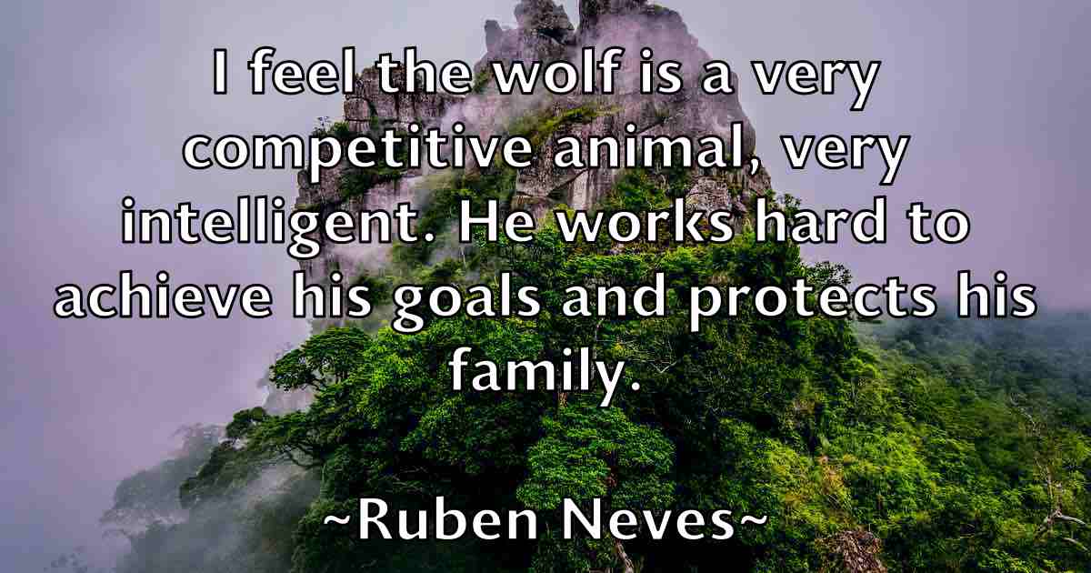 /images/quoteimage/ruben-neves-fb-721795.jpg