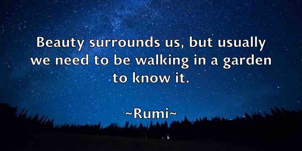/images/quoteimage/rumi-rumi-723017.jpg