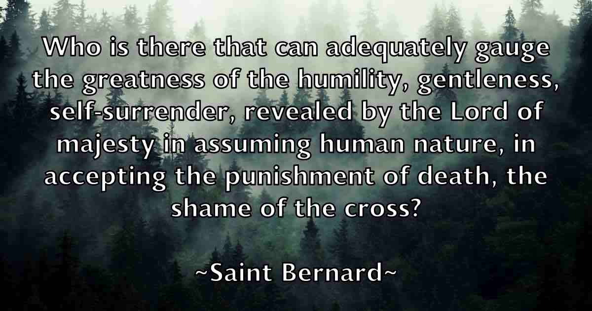 /images/quoteimage/saint-bernard-fb-730663.jpg