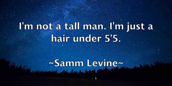 /images/quoteimage/samm-levine-735540.jpg