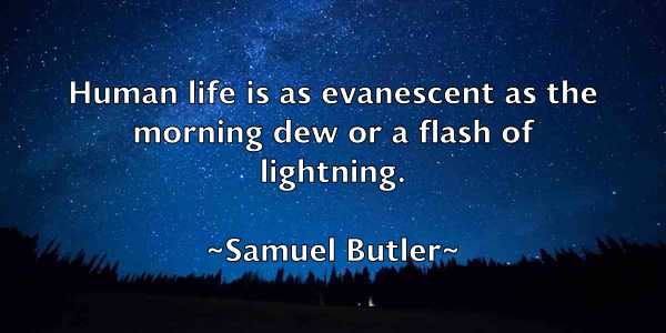 /images/quoteimage/samuel-butler-735944.jpg