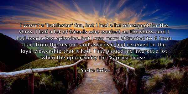 /images/quoteimage/sasha-roiz-742616.jpg