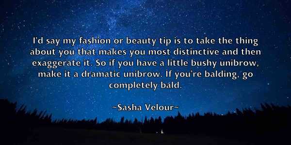 /images/quoteimage/sasha-velour-742647.jpg