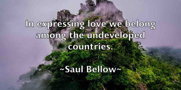 /images/quoteimage/saul-bellow-743270.jpg