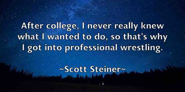 /images/quoteimage/scott-steiner-746121.jpg