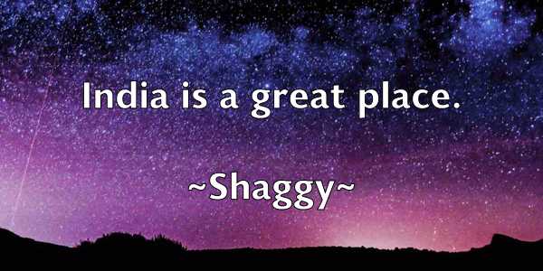 /images/quoteimage/shaggy-shaggy-751651.jpg