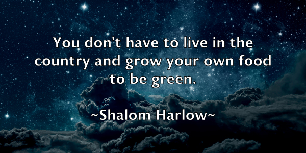 /images/quoteimage/shalom-harlow-752337.jpg