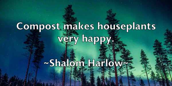/images/quoteimage/shalom-harlow-752341.jpg