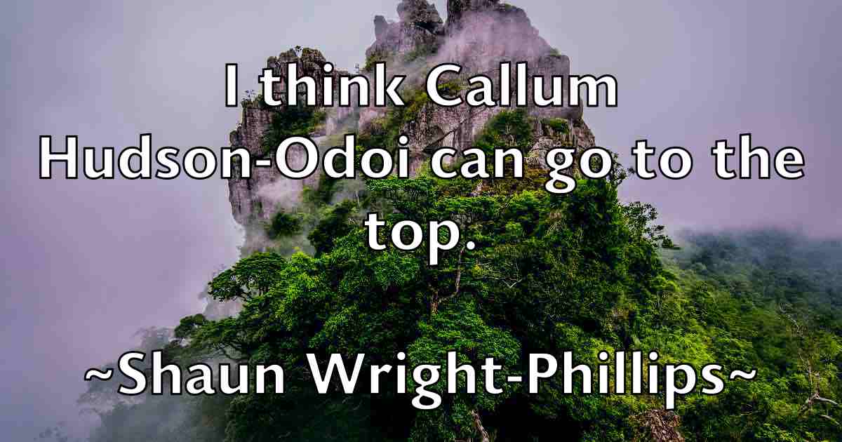 /images/quoteimage/shaun-wright-phillips-fb-755699.jpg