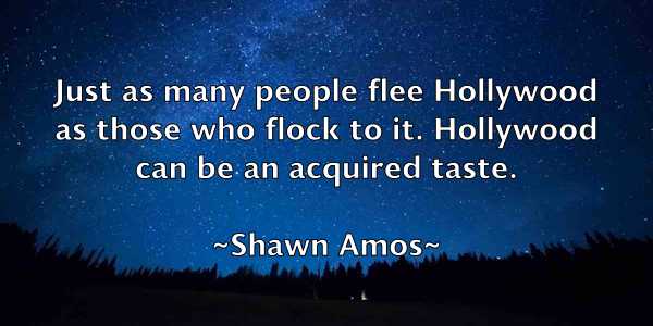 /images/quoteimage/shawn-amos-755852.jpg