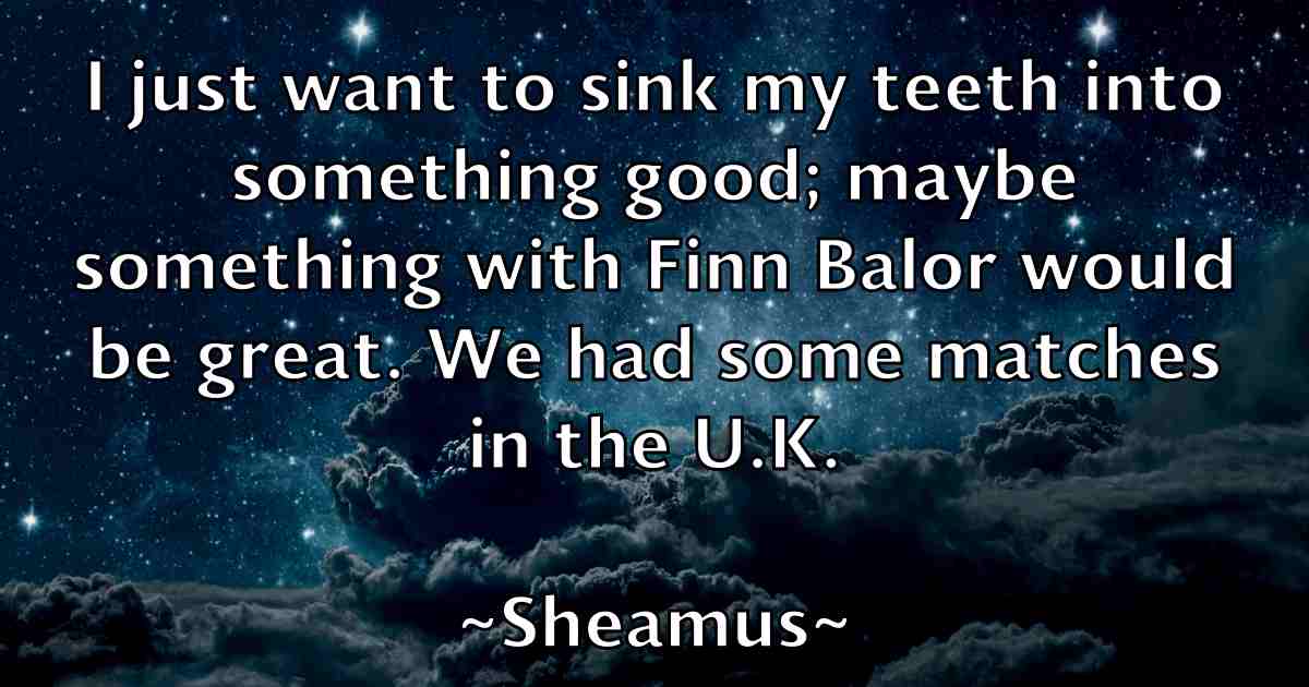 /images/quoteimage/sheamus-sheamus-fb-756771.jpg
