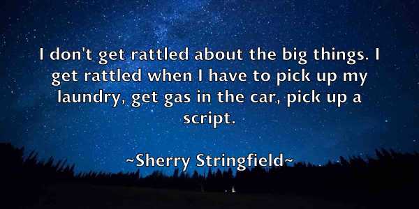 /images/quoteimage/sherry-stringfield-758612.jpg