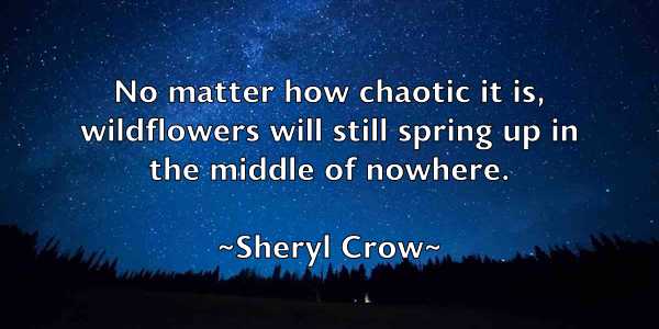 /images/quoteimage/sheryl-crow-758876.jpg