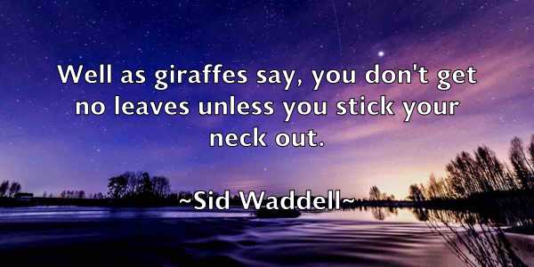 /images/quoteimage/sid-waddell-761871.jpg