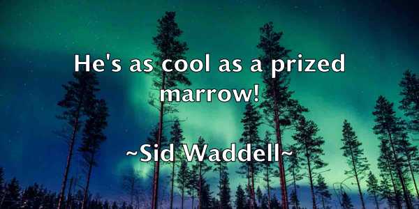 /images/quoteimage/sid-waddell-761874.jpg