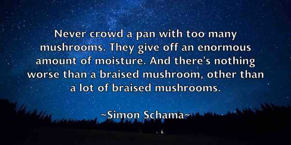 /images/quoteimage/simon-schama-763802.jpg