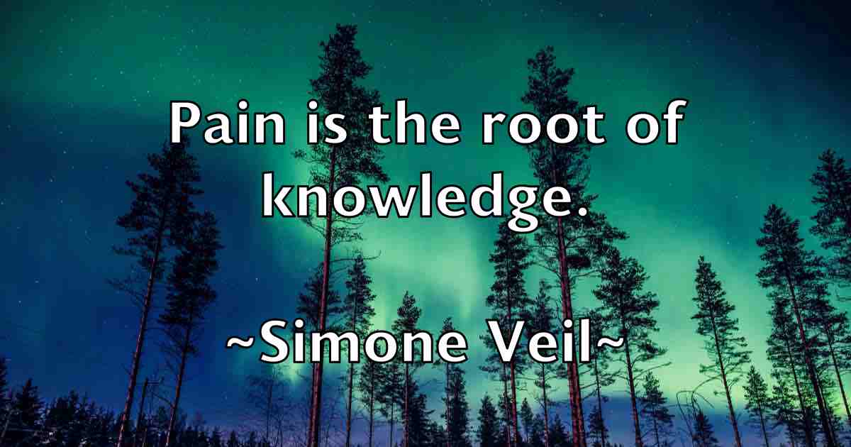 /images/quoteimage/simone-veil-fb-764571.jpg