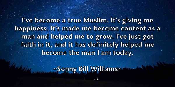 /images/quoteimage/sonny-bill-williams-767958.jpg