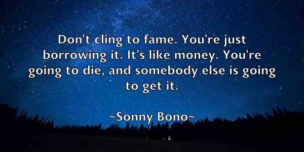 /images/quoteimage/sonny-bono-768037.jpg