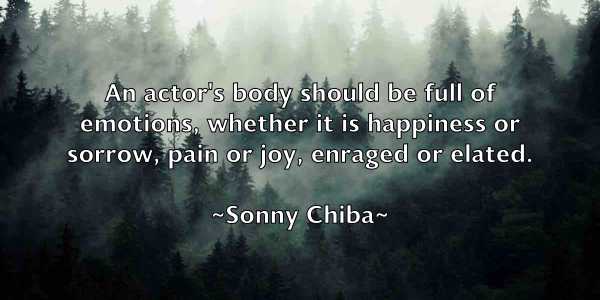 /images/quoteimage/sonny-chiba-768050.jpg