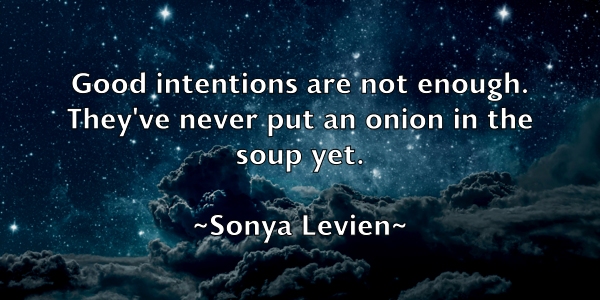 /images/quoteimage/sonya-levien-768527.jpg