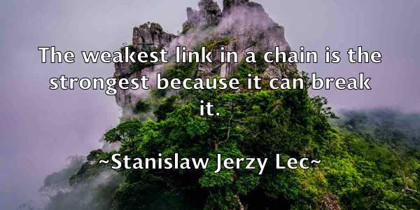 /images/quoteimage/stanislaw-jerzy-lec-772116.jpg