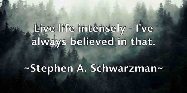 /images/quoteimage/stephen-a-schwarzman-774580.jpg