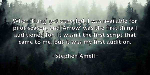 /images/quoteimage/stephen-amell-774795.jpg