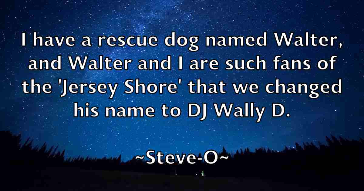 /images/quoteimage/steve-o-fb-781853.jpg