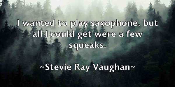 /images/quoteimage/stevie-ray-vaughan-784020.jpg