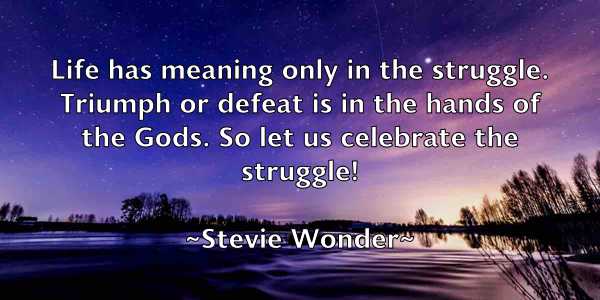 /images/quoteimage/stevie-wonder-784047.jpg