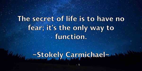 /images/quoteimage/stokely-carmichael-784561.jpg