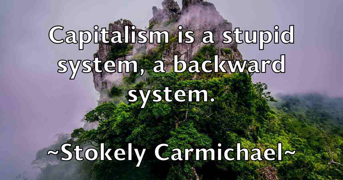 /images/quoteimage/stokely-carmichael-fb-784571.jpg