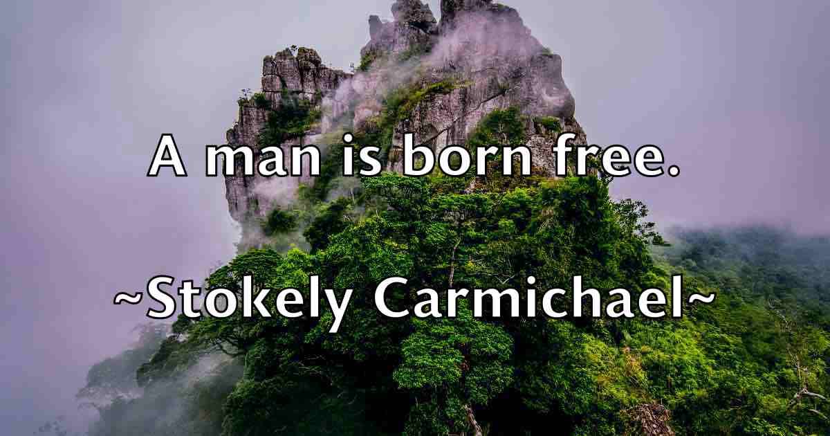 /images/quoteimage/stokely-carmichael-fb-784575.jpg
