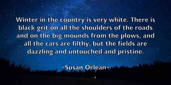 /images/quoteimage/susan-orlean-788459.jpg