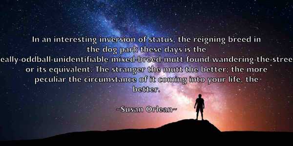 /images/quoteimage/susan-orlean-788468.jpg