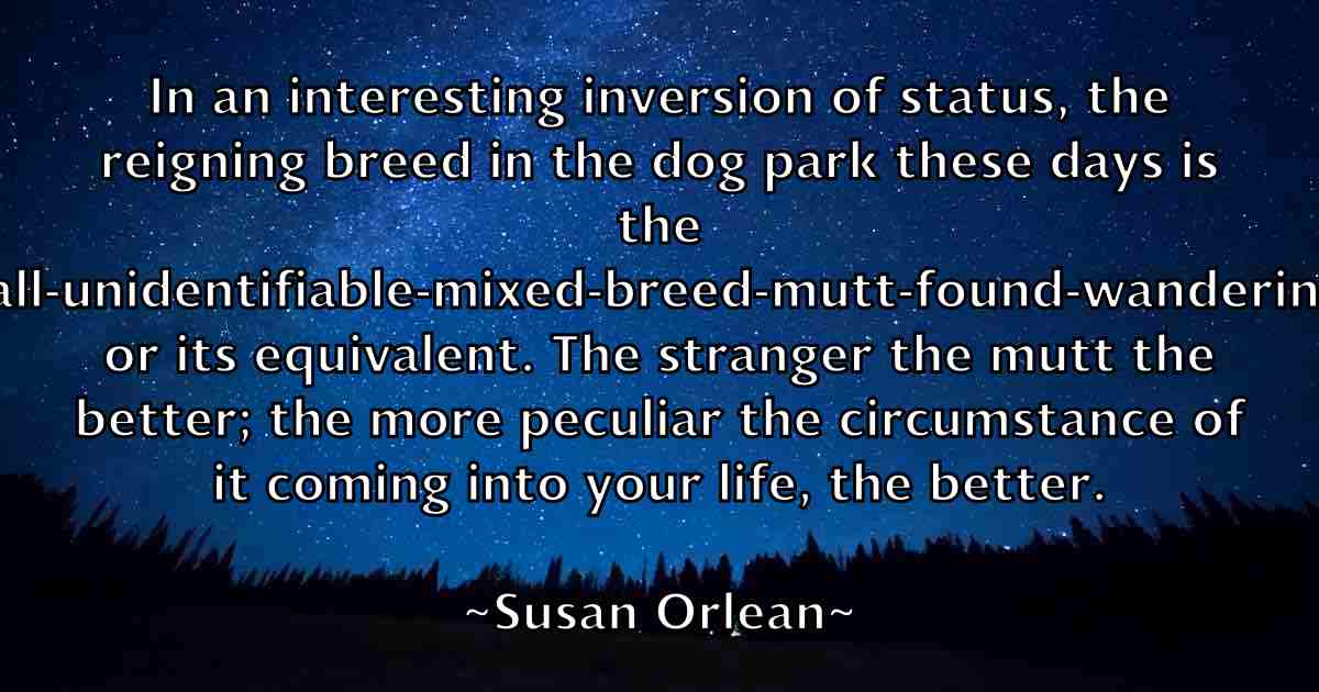 /images/quoteimage/susan-orlean-fb-788468.jpg
