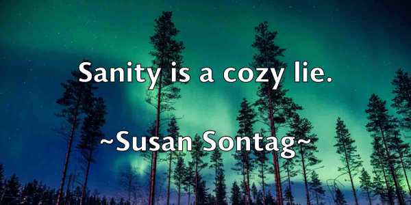/images/quoteimage/susan-sontag-788674.jpg
