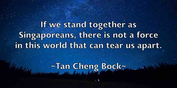 /images/quoteimage/tan-cheng-bock-795642.jpg