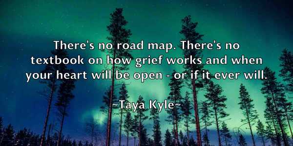 /images/quoteimage/taya-kyle-797417.jpg