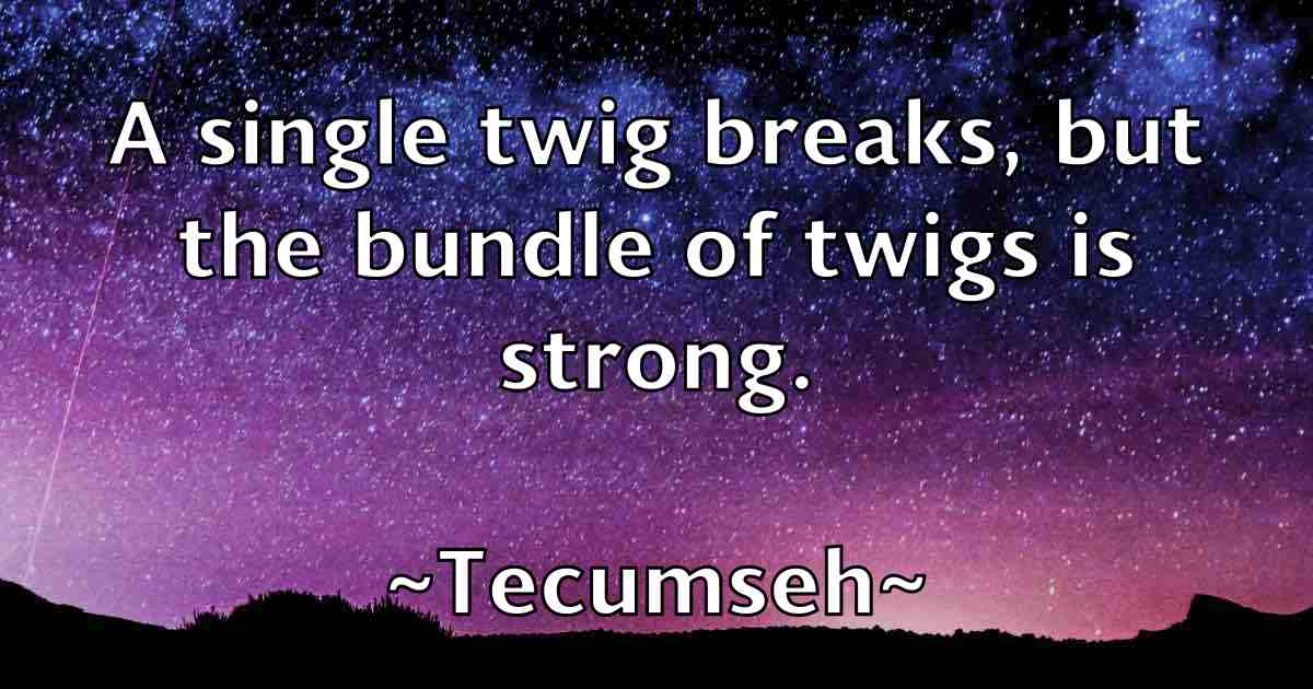 /images/quoteimage/tecumseh-tecumseh-fb-798859.jpg